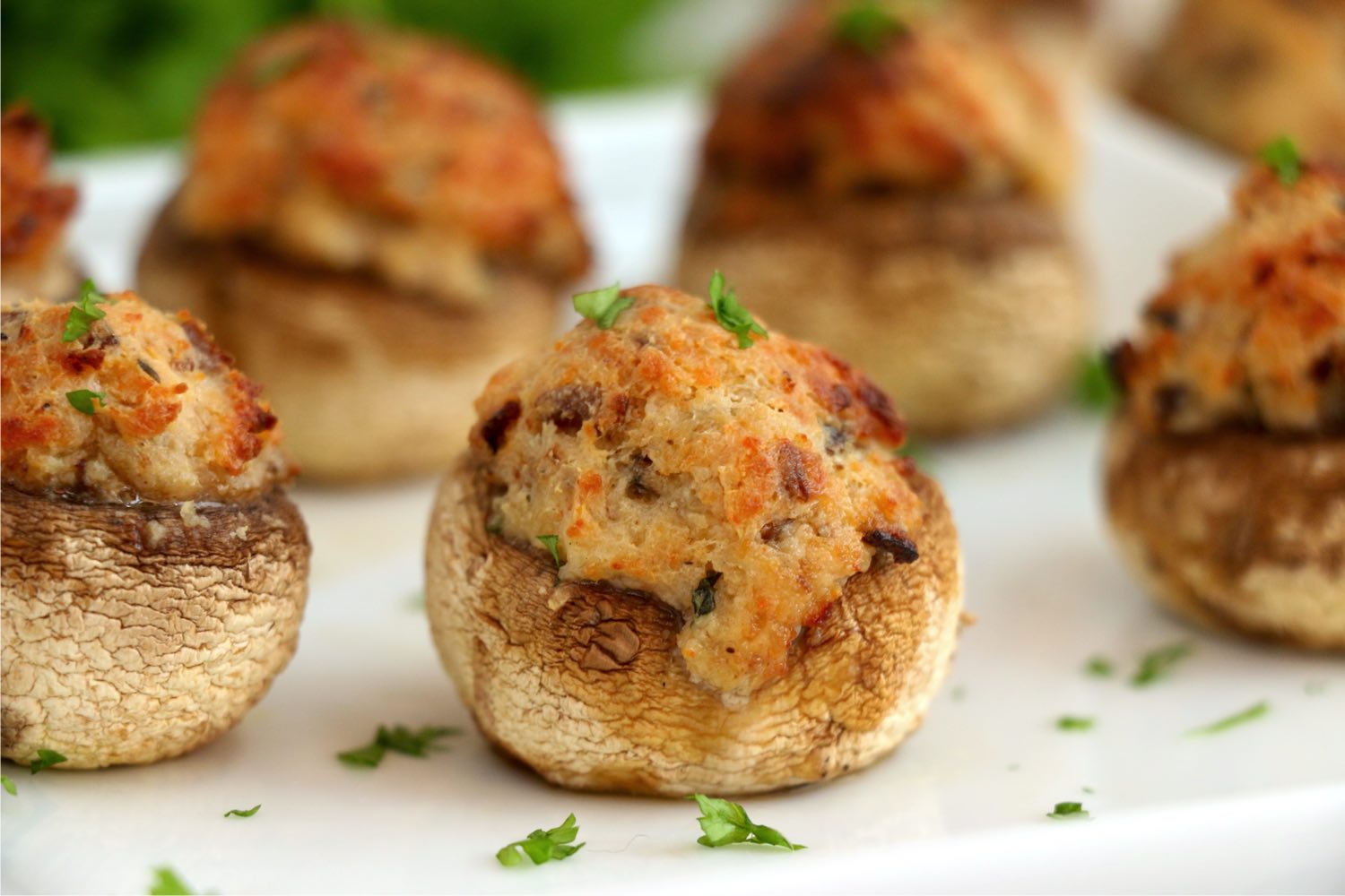 stuffed mushroom appetizer