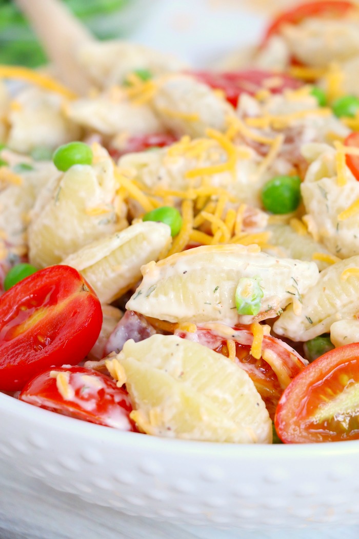 Pasta salad made with shell noodles