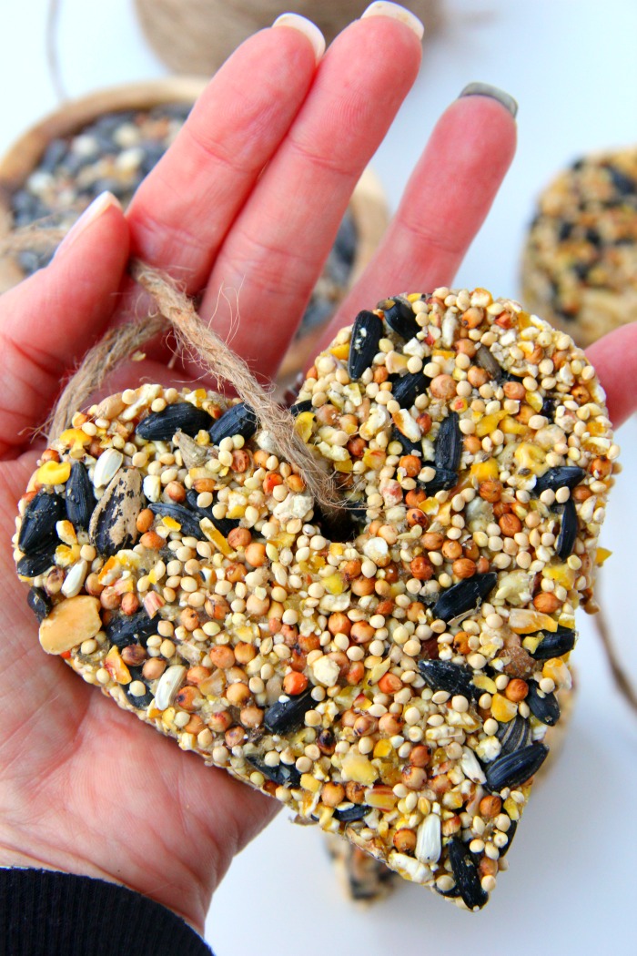 Up close shot of birdseed ornament