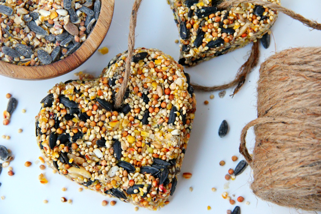 Birdseed ornaments and twine