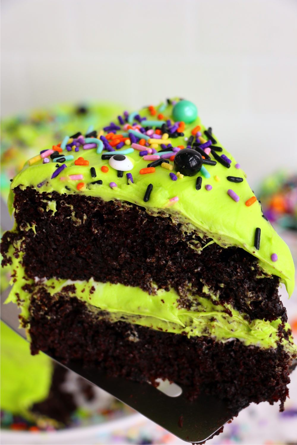 Piece of cake on spatula