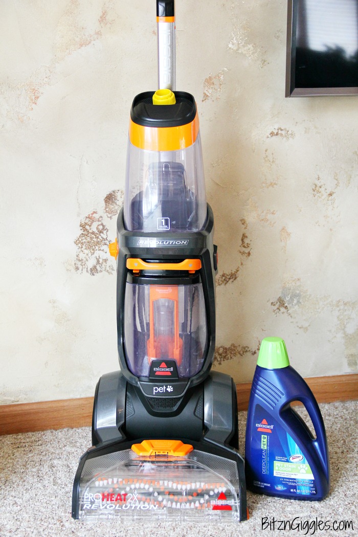 Spring Cleaning Tips for Dog Owners - Are you sure you thought of everything when it comes to cleaning this spring? Keep your home clean and your dog and family healthy with these important tips!