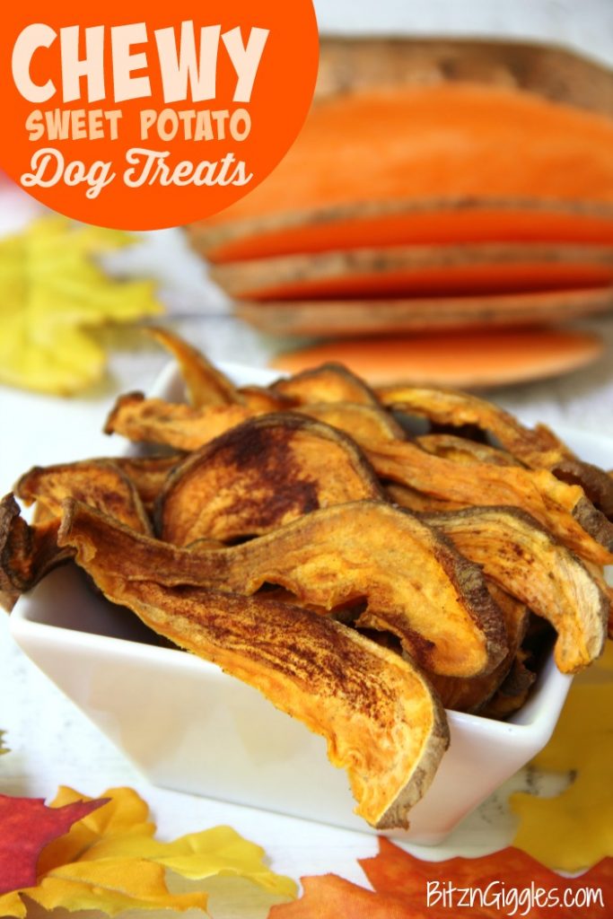 Chewy Sweet Potato Dog Treats - Homemade sweet potato treats your dog will do flips for!