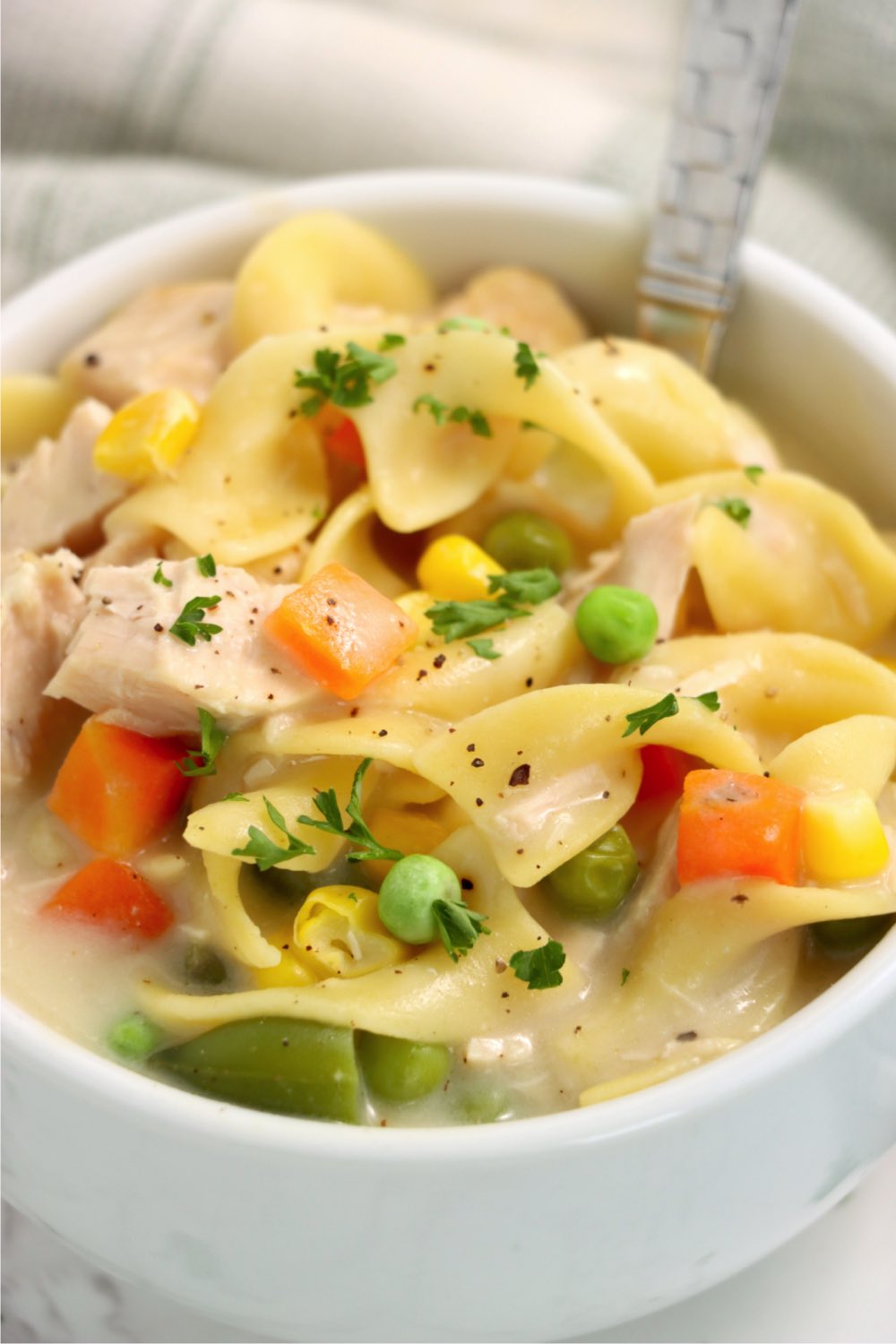 close-up of chicken noodle soup