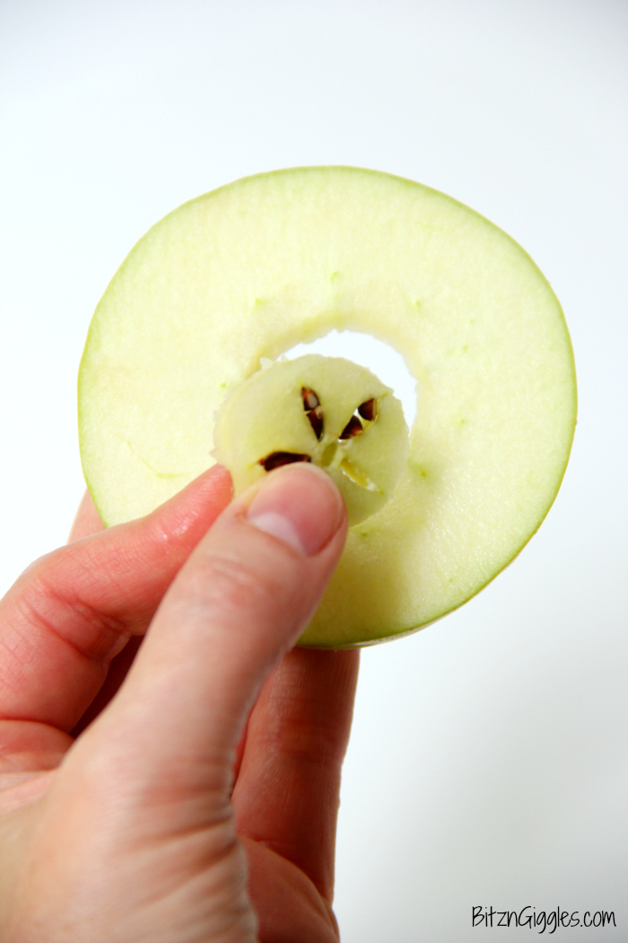 Caramel Apple S'mores - Toasted marshmallows and caramel in between two thin apple slices! Tastes SO good!