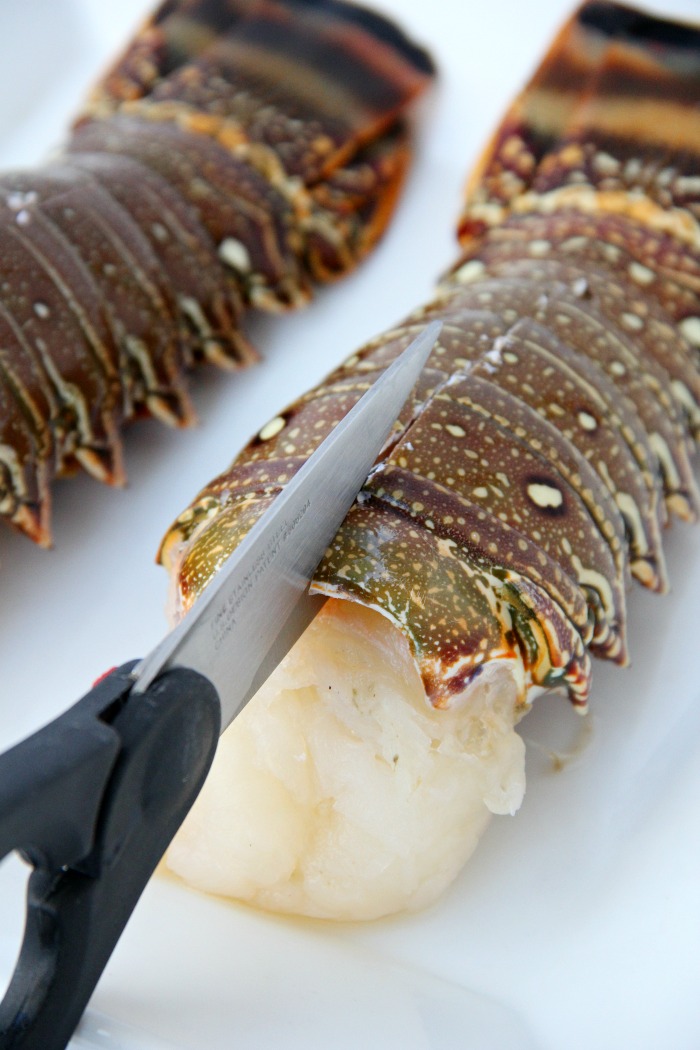 cutting through shell of lobster tail