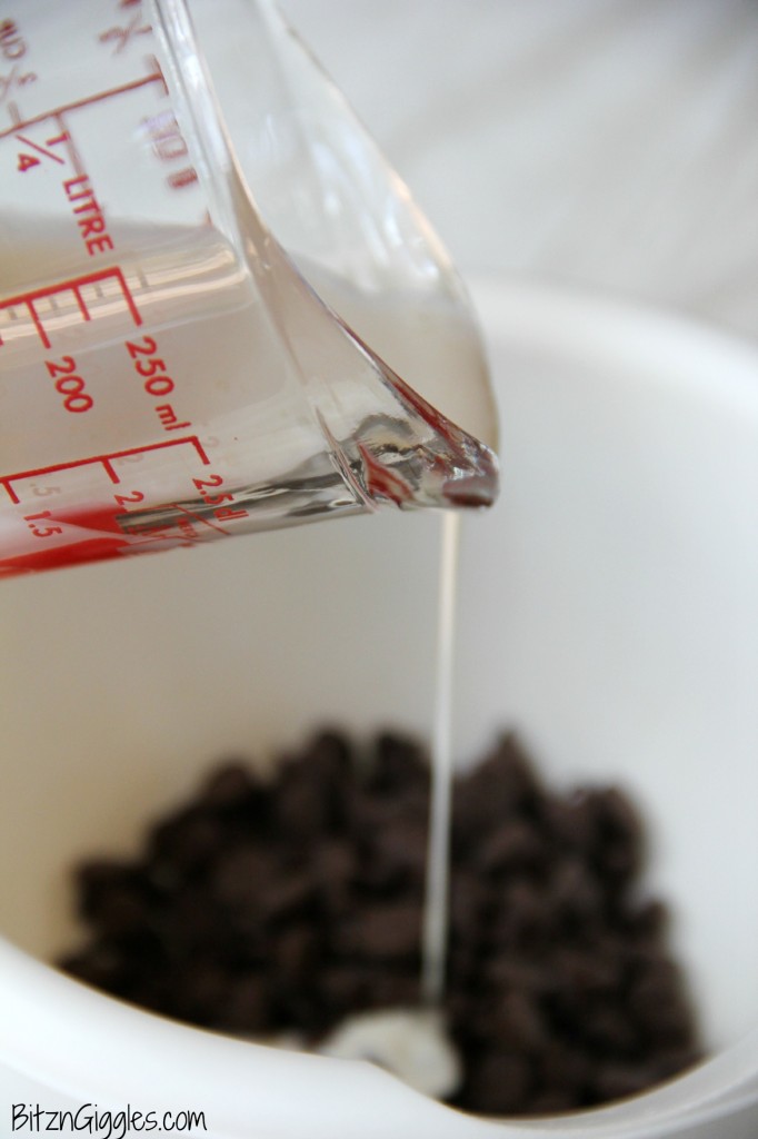 Frozen Smores - Bitz & Giggles