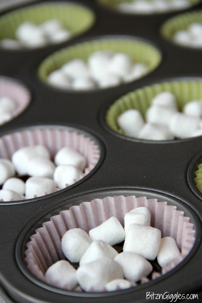 Frozen Smores - Bitz & Giggles