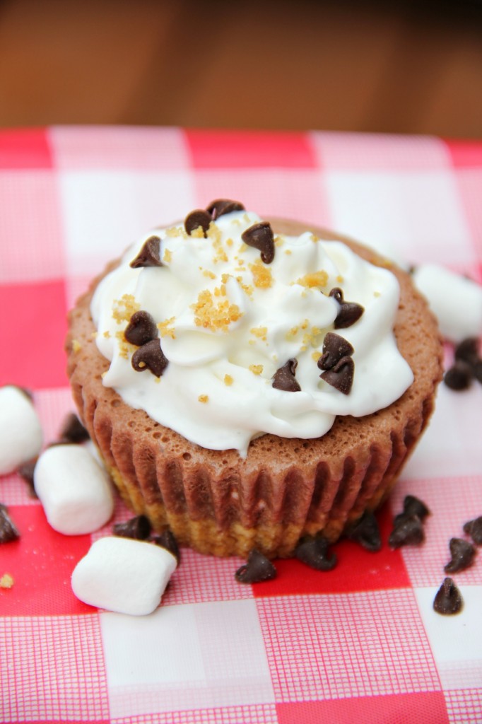 Frozen Smores - Bitz & Giggles