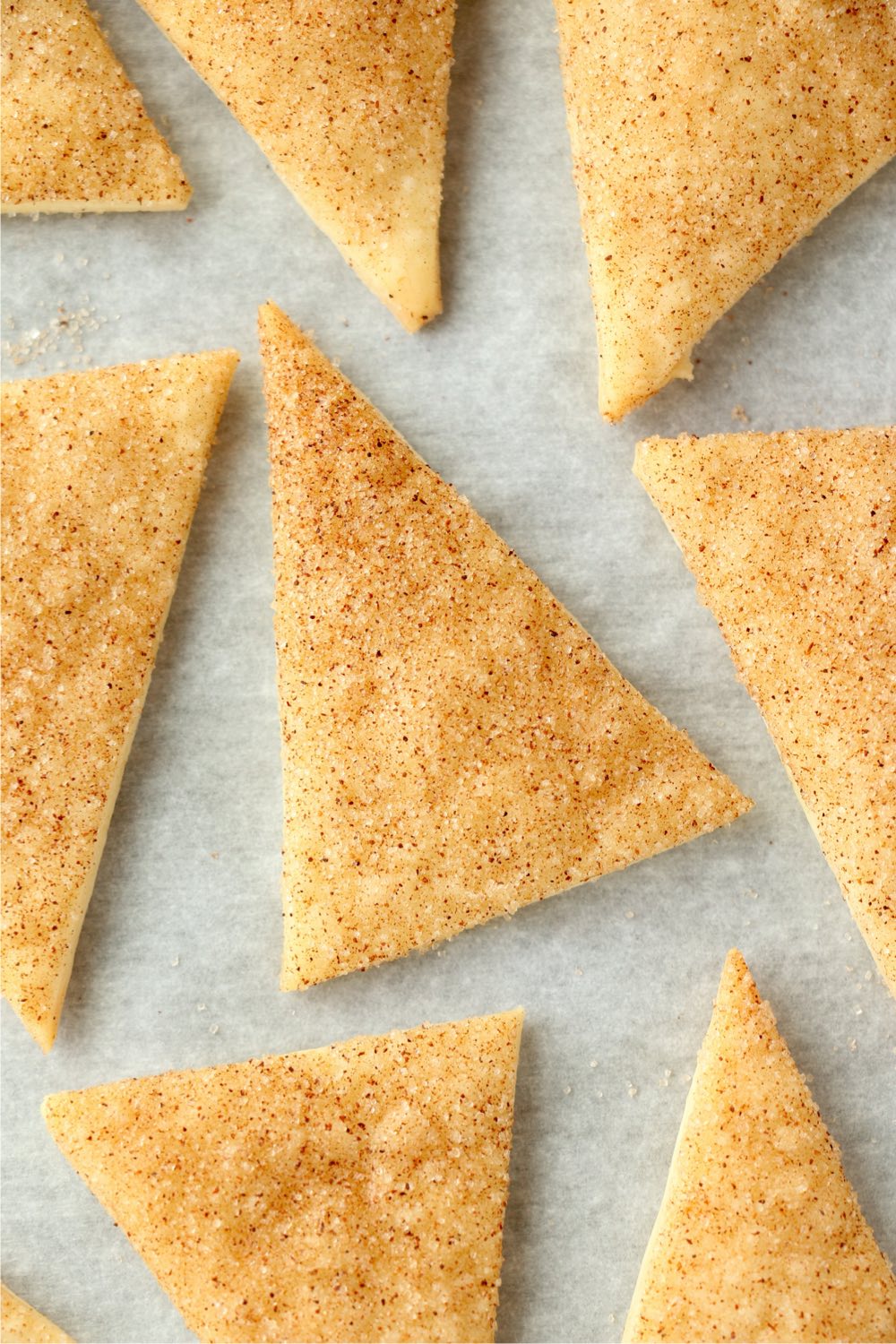 close up of seasoned pie crust chips