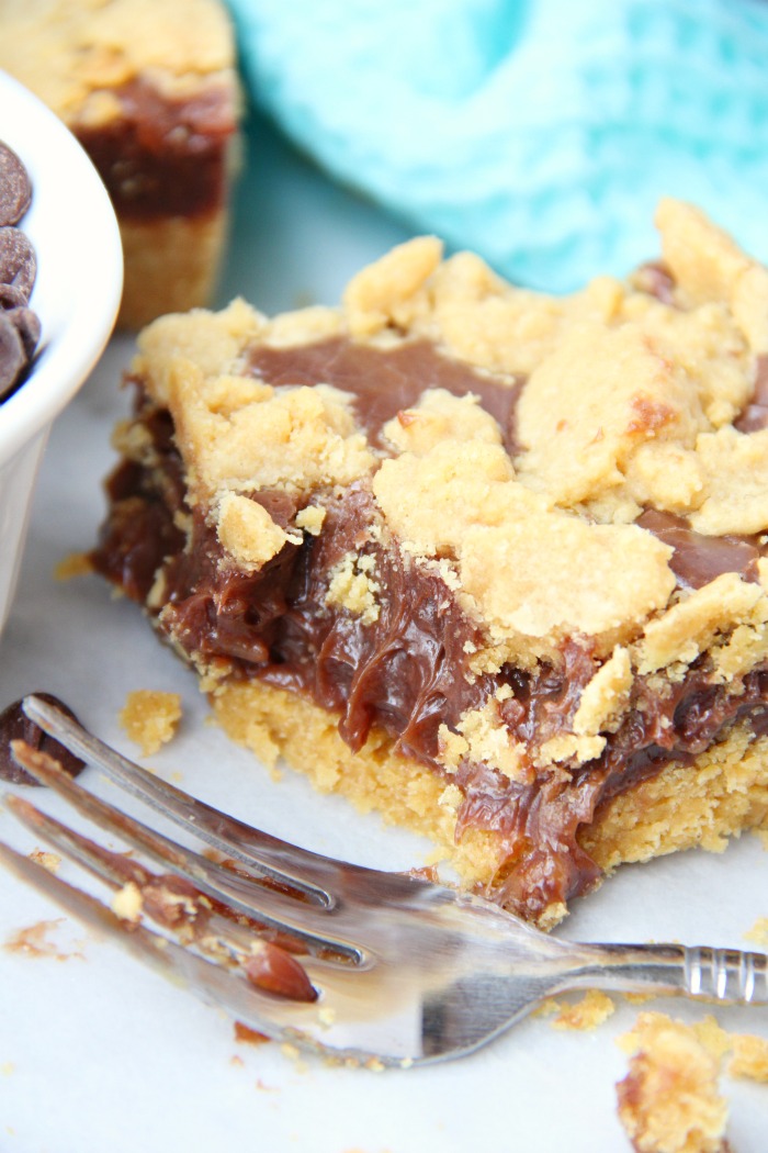 Fudge Crumble Bars - Fudge, peanut butter and coconut pecan frosting enveloped by a delicious yellow cake mix crust and crumble topping!