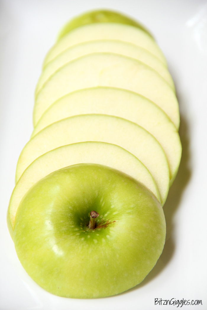 Caramel Apple S'mores - Toasted marshmallows and caramel in between two thin apple slices! Tastes SO good!