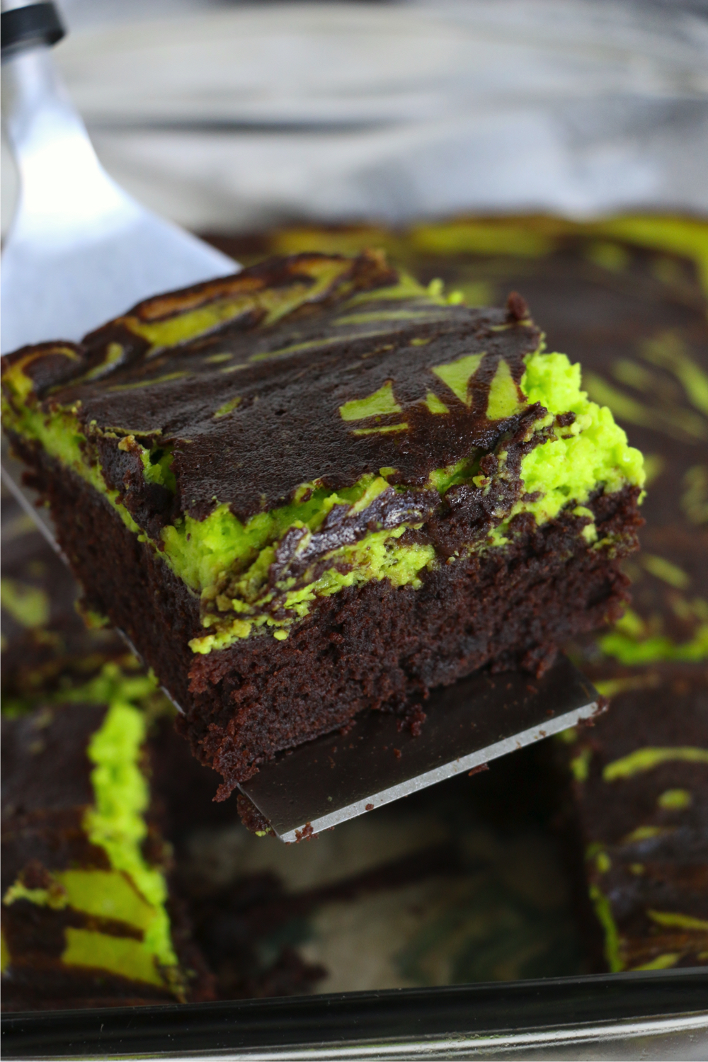 Halloween swirl brownie held by dessert server