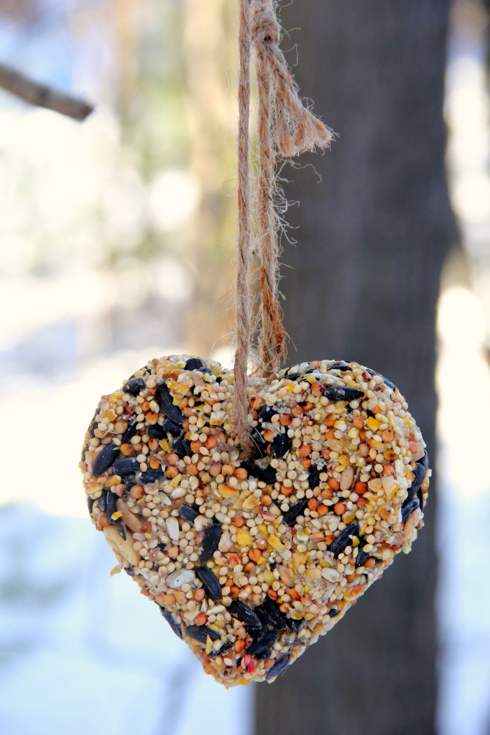 Heart-shaped birdseed ornament hanging from tree post