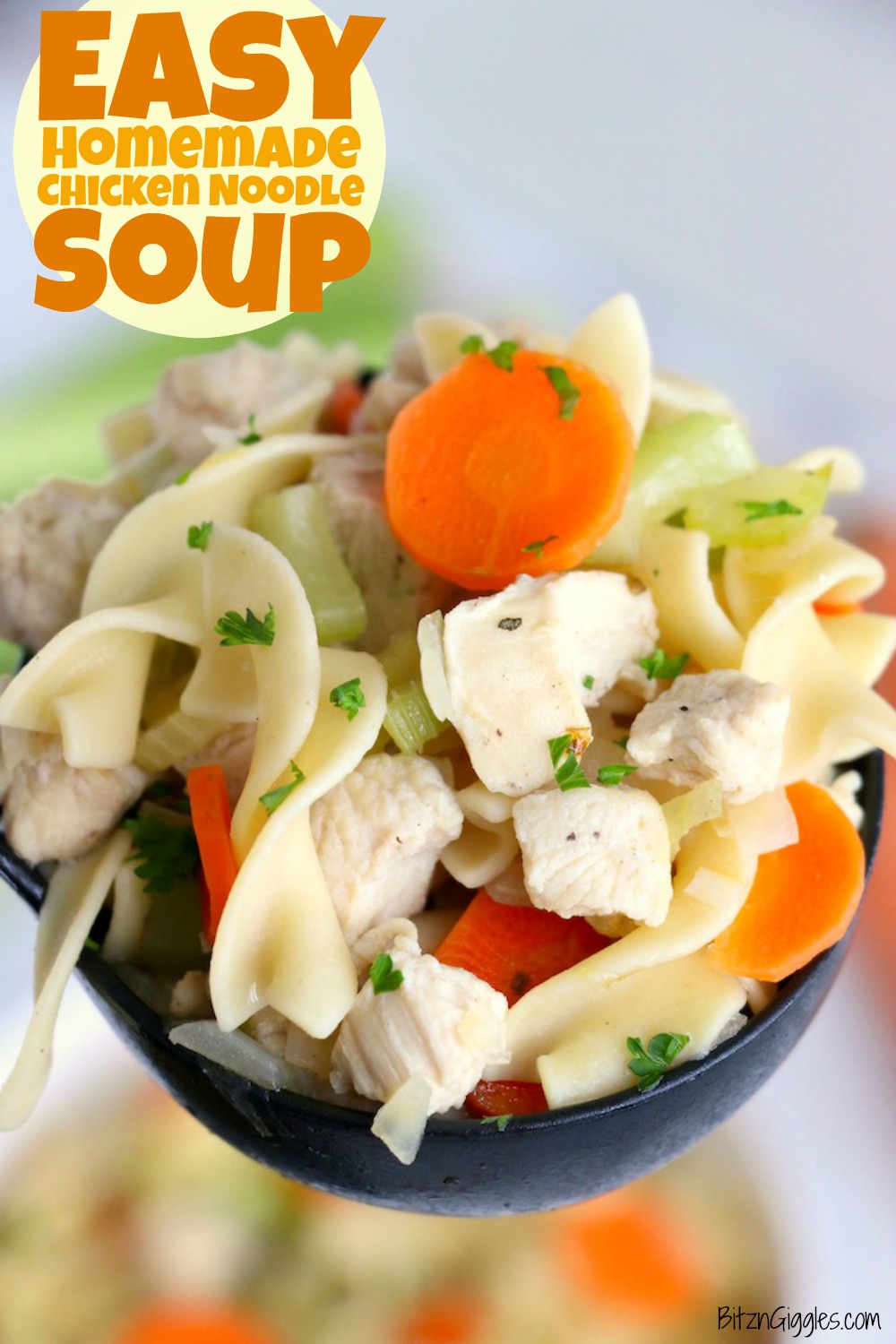 soup ladle filled with chicken noodle soup