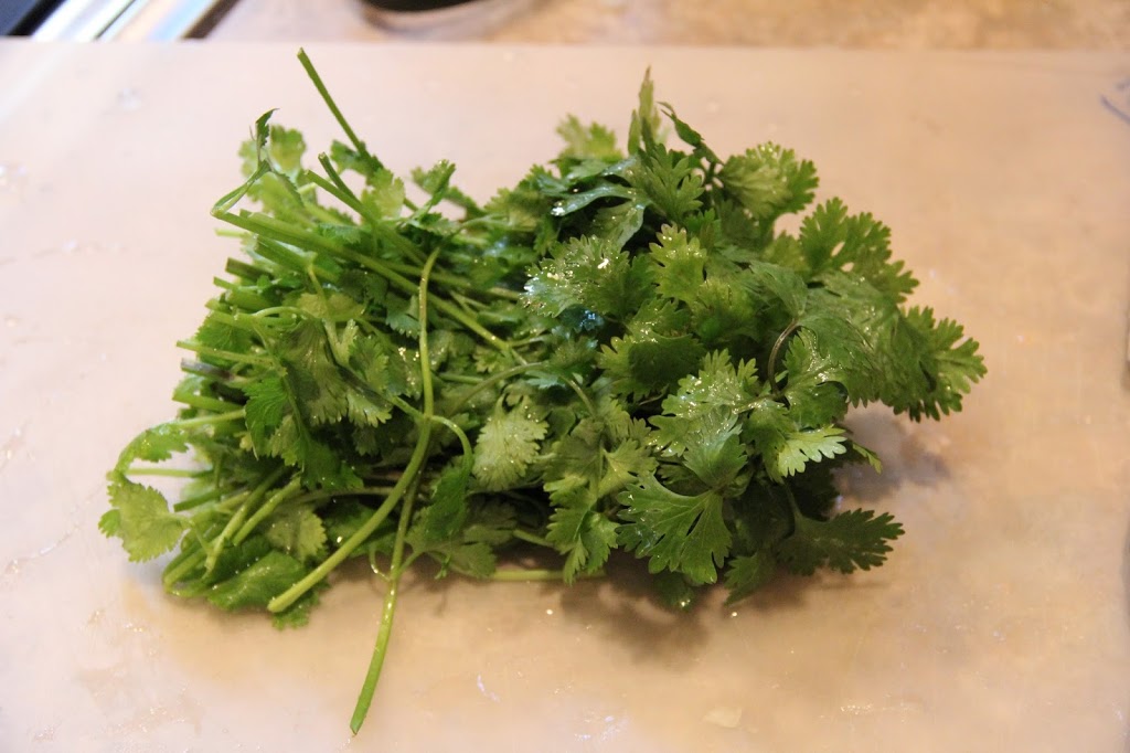 Pico de Gallo & Guacamole - An easy and delicious Pico de Gallo appetizer recipe perfect for dipping! So many fresh ingredients and so good for you, too!