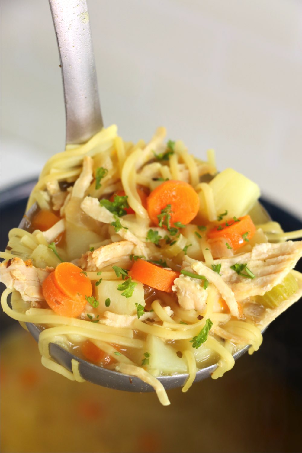 ladle filled with turkey noodle soup