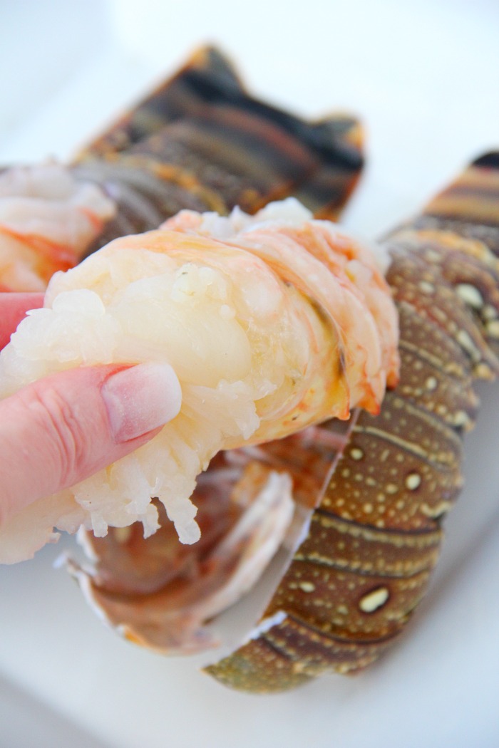 lifting lobster meat out of the shell