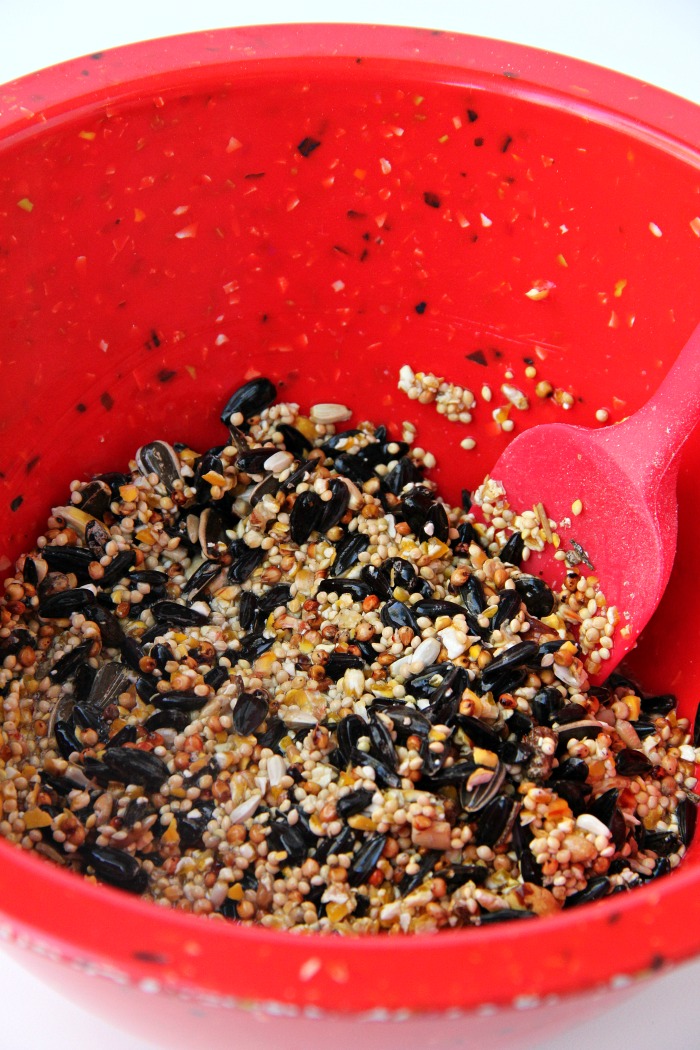 Birdseed mixture in a red mixing bowl