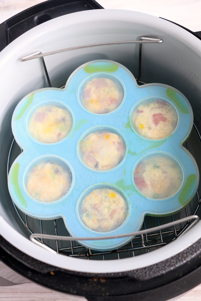 egg bites in mold in Ninja Foodi