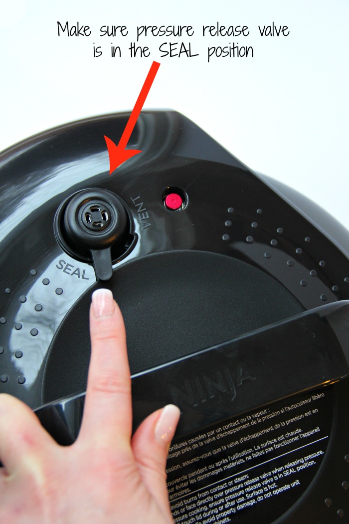 Ninja Foodi Roast Chicken - Deliciously moist chicken that's flavorful and crispy on the outside! So easy to make in your Ninja Foodi in no time at all!