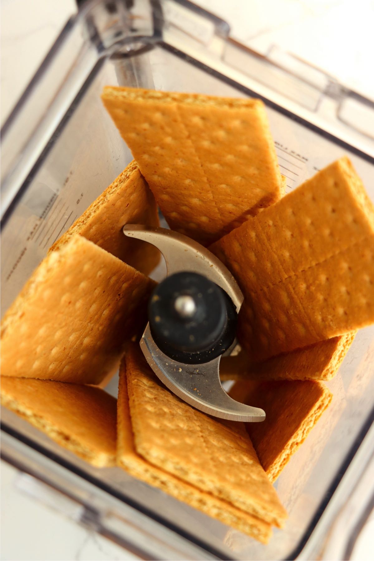 Graham cracker squares in a blender