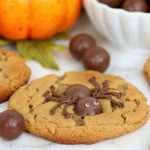 Chocolate spider on the top of a peanut butter cookie