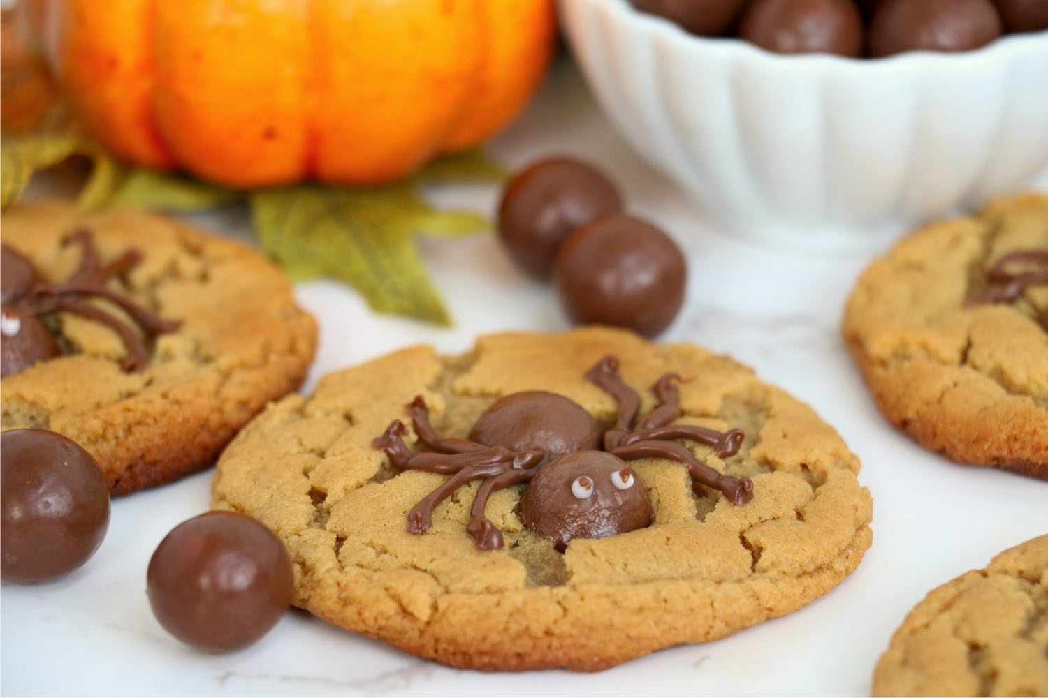 Chocolate spider on the top of a peanut butter cookie