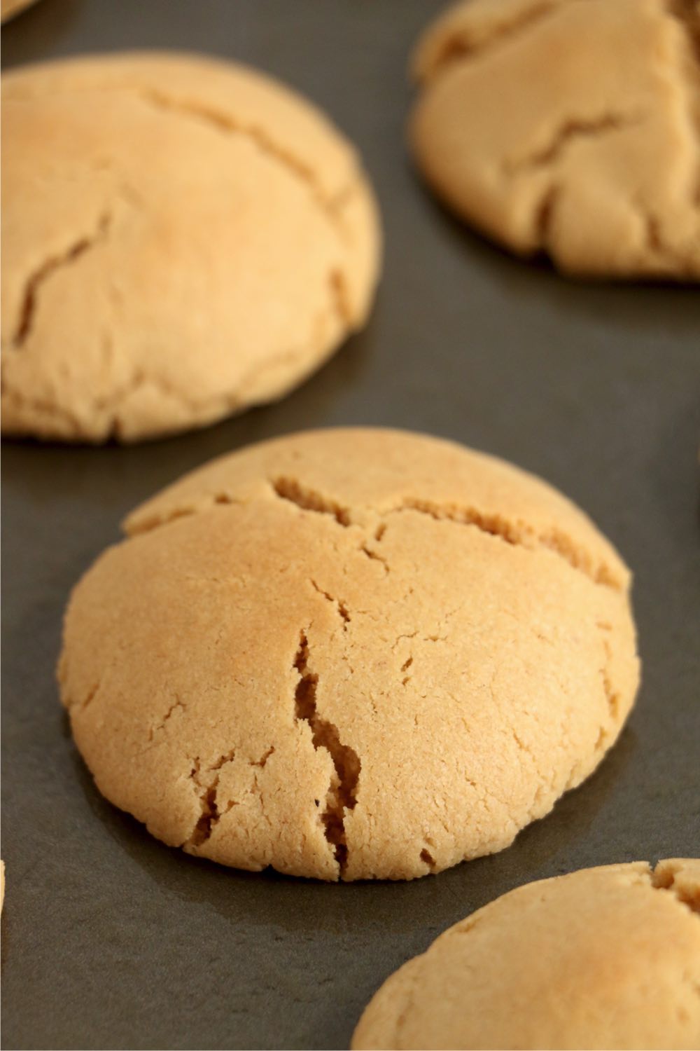 baked peanut butter cookies on cookie sheet