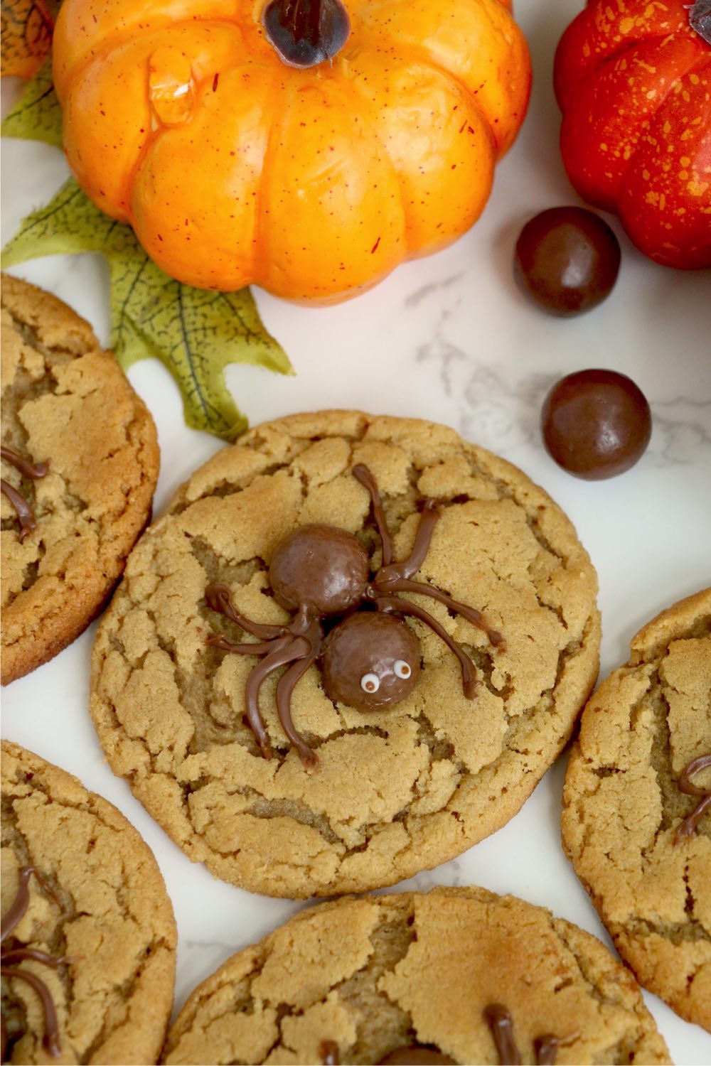 top shot of a spider cookie