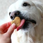 Peanut Butter and Banana Homemade Dog Biscuits - Five-ingredient chewy dog biscuits made with peanut butter, oats and banana. Your dog will love these!