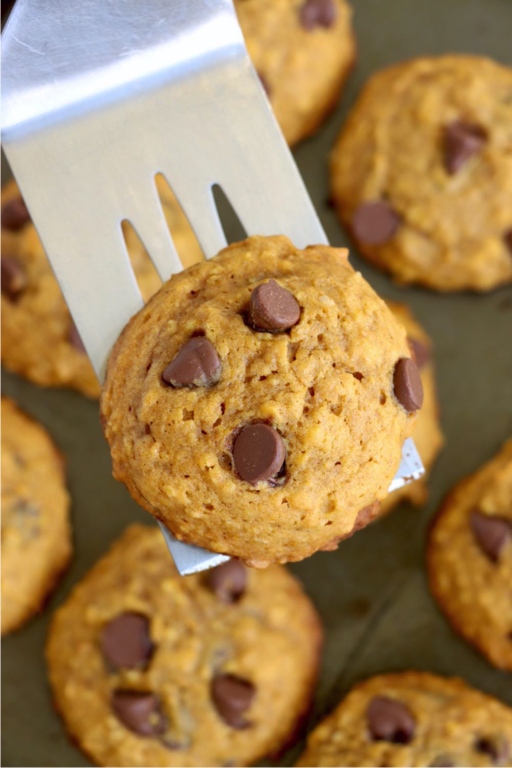 spatula holding pumpkin chocolate chip cookie