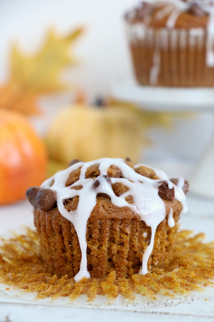 Pumpkin Chocolate Chip Muffins - Homemade pumpkin muffins sprinkled with fall spices and lots of chocolate chips!
