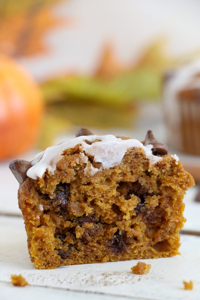 Pumpkin Chocolate Chip Muffins - Homemade pumpkin muffins sprinkled with fall spices and lots of chocolate chips!