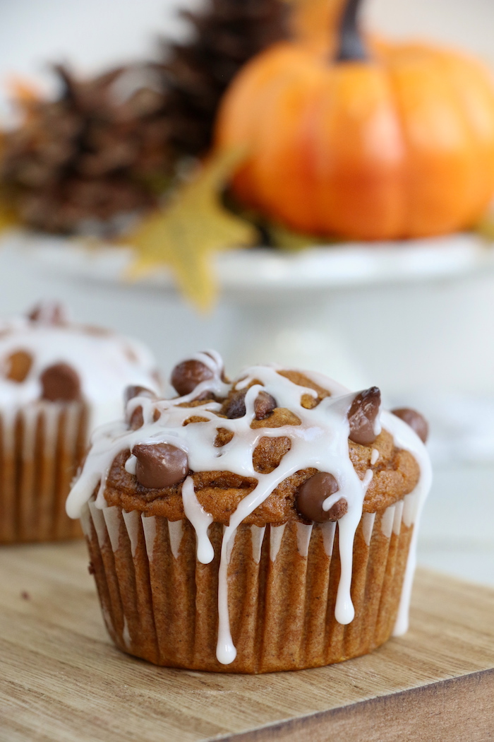 Pumpkin Chocolate Chip Muffins - Homemade pumpkin muffins sprinkled with fall spices and lots of chocolate chips!