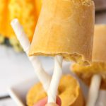 Pumpkin Pup Pops - These fun dog treats are made with only four ingredients! Your pup will love the peanut butter and pumpkin combination!