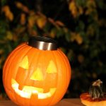 Solar Light Pumpkin