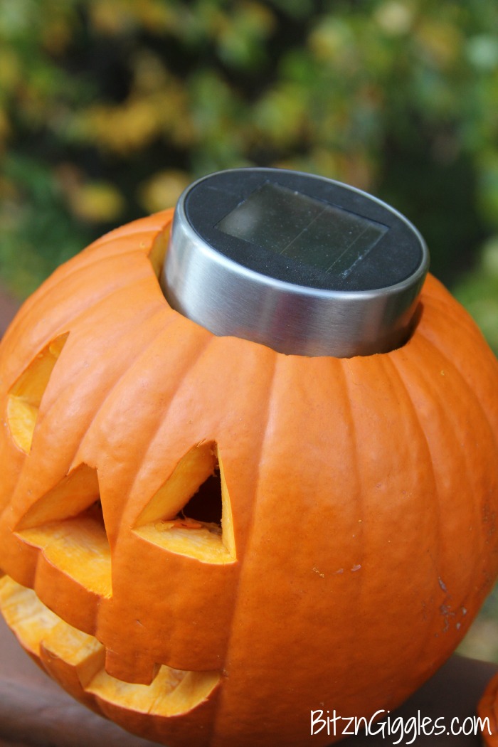 Solar Light Pumpkin