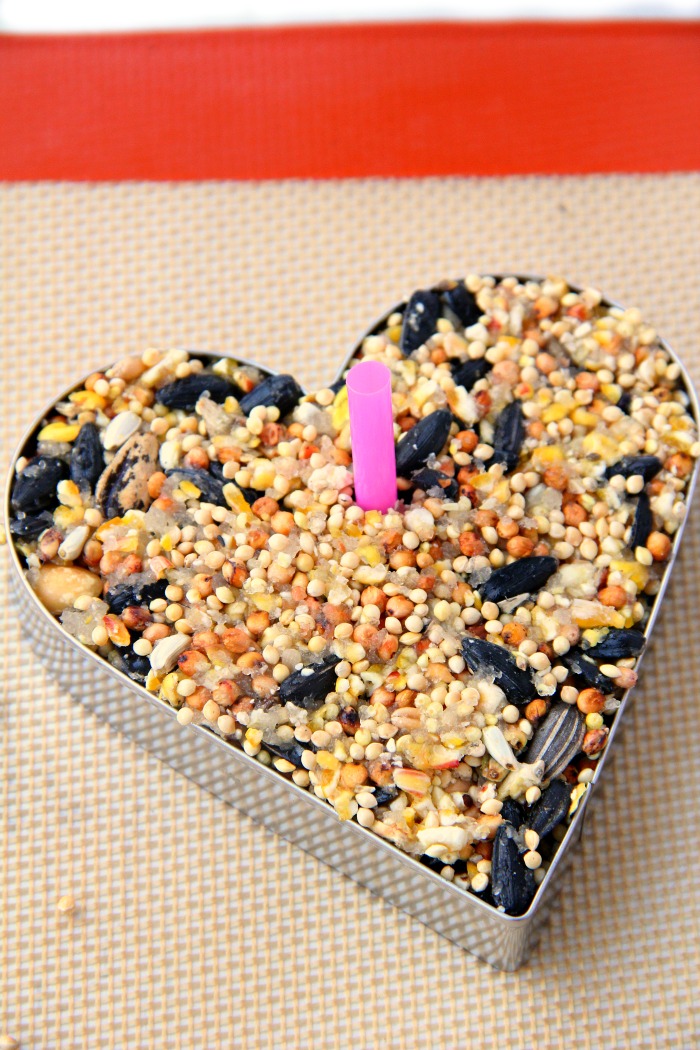 Piece of pink straw in a heart-shaped birdseed ornament