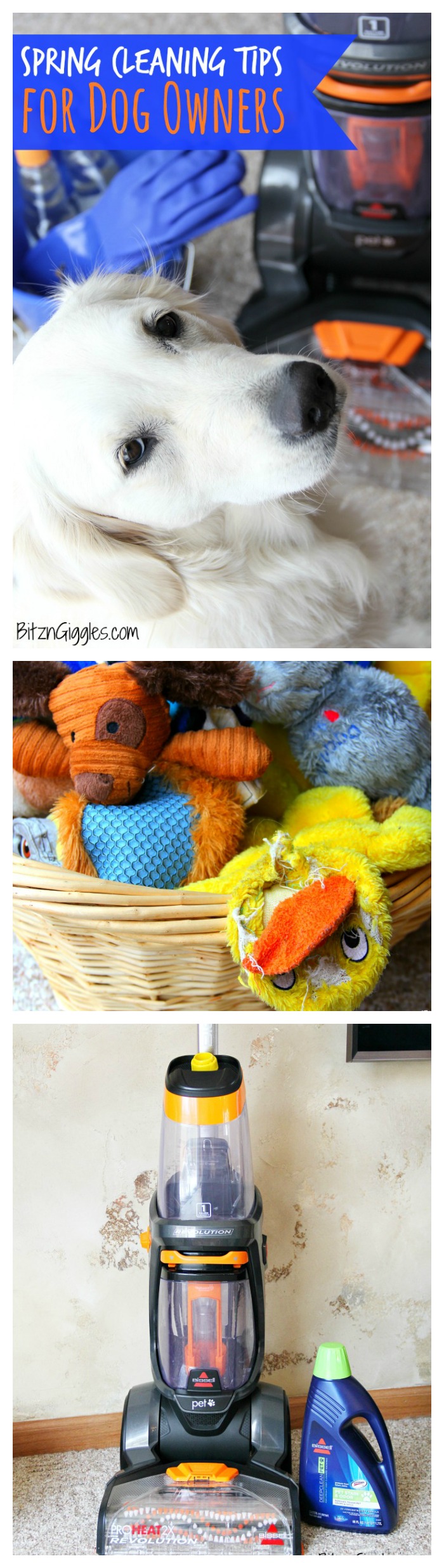 Spring Cleaning Tips for Dog Owners - Are you sure you thought of everything when it comes to cleaning this spring? Keep your home clean and your dog and family healthy with these important tips!