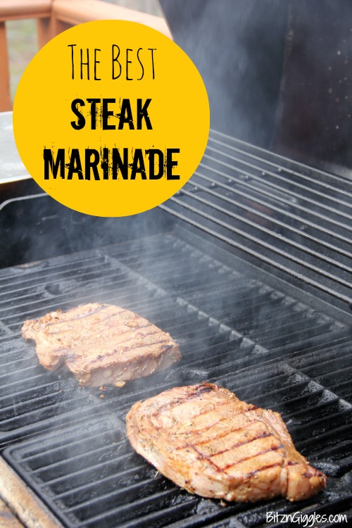 The Best Steak Marinade - A delicious and easy homemade steak marinade that's bursting with flavor! Perfect for any cut of beef, but absolutely divine on Ribeye steaks!