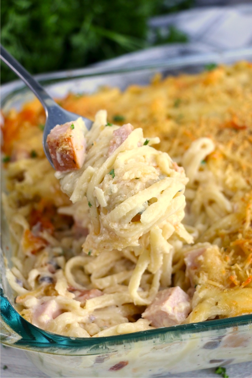 Spoonful of turkey tetrazzini
