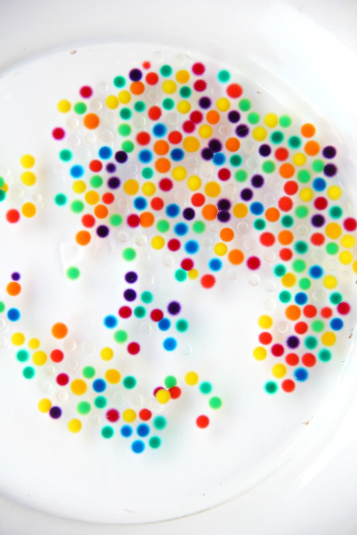 Water Bead Stress Ball - A transparent balloon filled with colorful water beads makes for a soothing and fun kids toy or stress reliever!