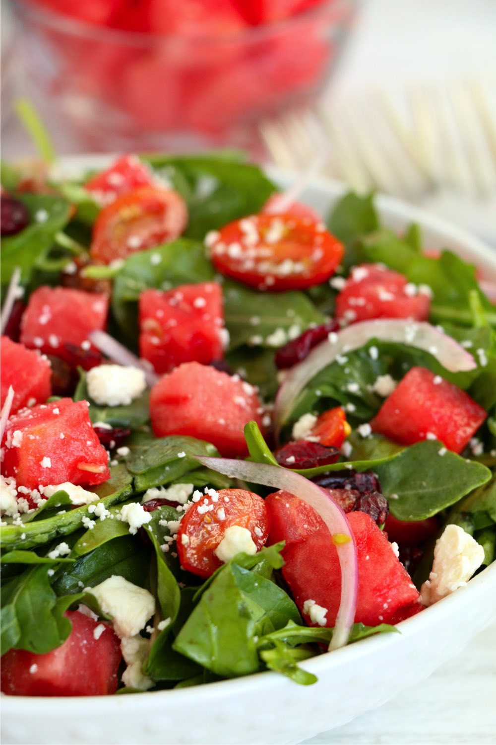 white bowl filled with watermelon feta salad